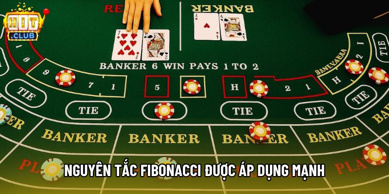 Nguyên tắc Fibonacci được áp dụng mạnh tại bộ môn này