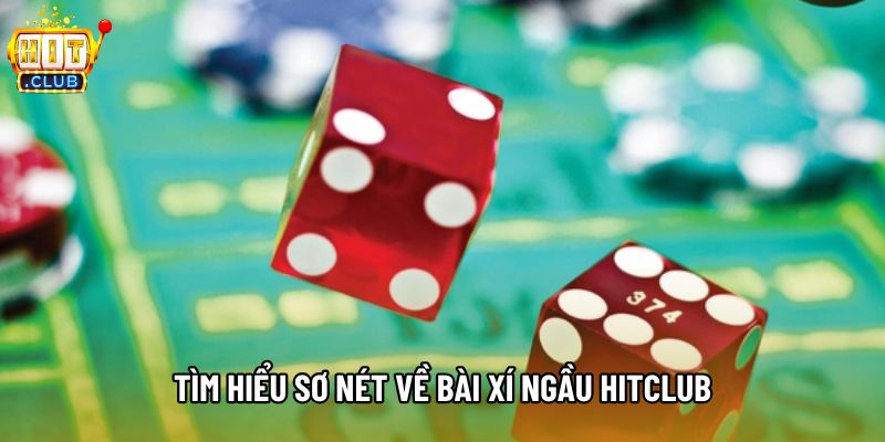 Tìm hiểu sơ nét về bài xí ngầu hitclub
