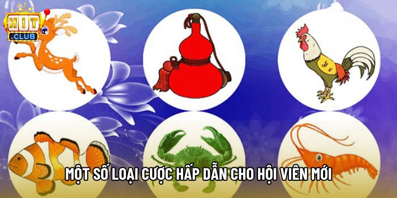 Một số loại cược hấp dẫn cho hội viên mới
